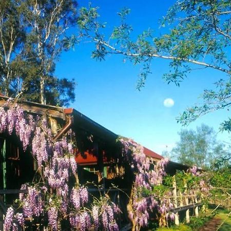 Cedar Creek Cottages Millfield Luaran gambar