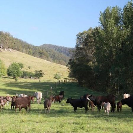 Cedar Creek Cottages Millfield Luaran gambar