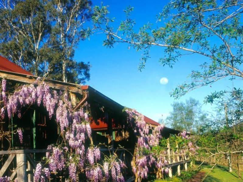 Cedar Creek Cottages Millfield Luaran gambar