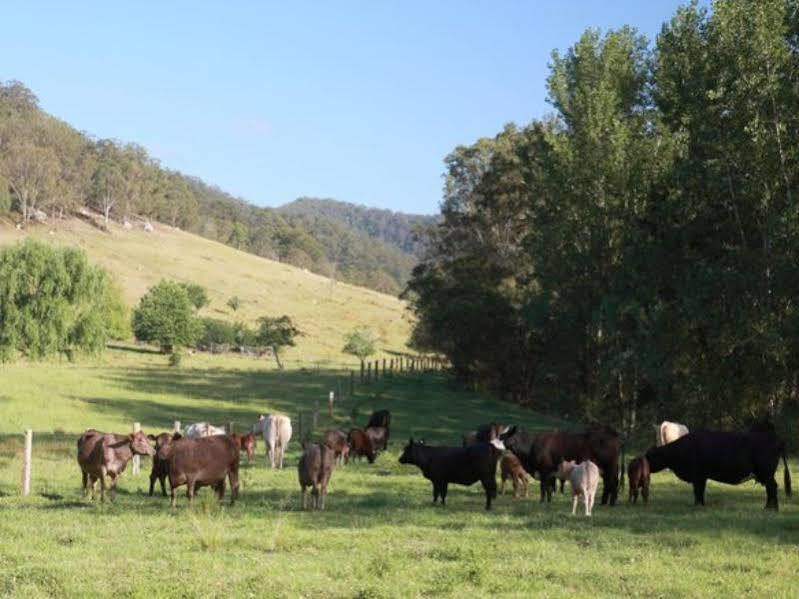 Cedar Creek Cottages Millfield Luaran gambar